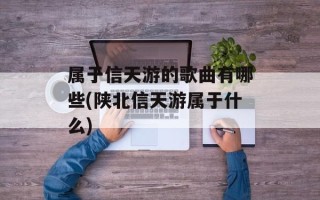 属于信天游的歌曲有哪些(陕北信天游属于什么)