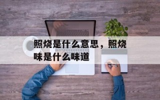 照烧是什么意思，照烧味是什么味道