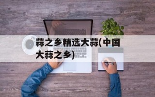 蒜之乡精选大蒜(中国大蒜之乡)