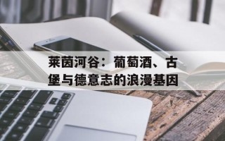 莱茵河谷：葡萄酒、古堡与德意志的浪漫基因
