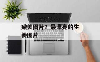 嫩姜图片？最漂亮的生姜图片