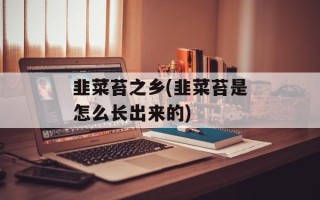 韭菜苔之乡(韭菜苔是怎么长出来的)