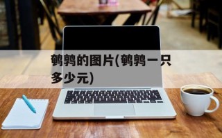 鹌鹑的图片(鹌鹑一只多少元)