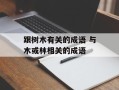 跟树木有关的成语 与木或林相关的成语