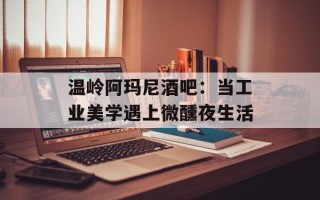 温岭阿玛尼酒吧：当工业美学遇上微醺夜生活