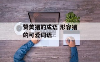 赞美猪的成语 形容猪的可爱词语