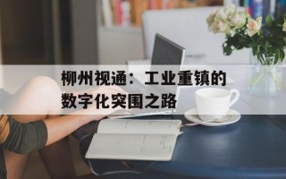 柳州视通：工业重镇的数字化突围之路