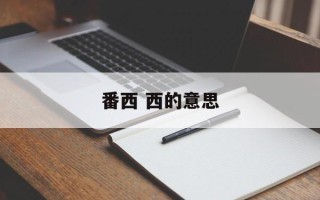 番西 西的意思