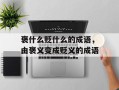 褒什么贬什么的成语，由褒义变成贬义的成语