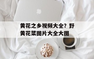 黄花之乡视频大全？野黄花菜图片大全大图