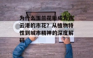 为什么玉兰花能成为连云港的市花？从植物特性到城市精神的深度解码