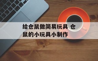给仓鼠做简易玩具 仓鼠的小玩具小制作