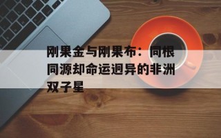 刚果金与刚果布：同根同源却命运迥异的非洲双子星