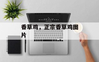香草鸡，正宗香草鸡图片
