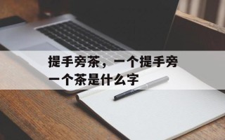 提手旁茶，一个提手旁一个茶是什么字