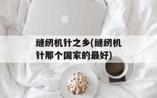缝纫机针之乡(缝纫机针那个国家的最好)