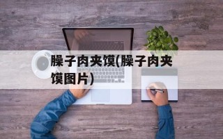 臊子肉夹馍(臊子肉夹馍图片)