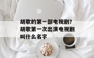 胡歌的第一部电视剧？胡歌第一次出演电视剧叫什么名字