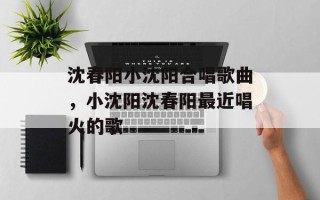 沈春阳小沈阳合唱歌曲，小沈阳沈春阳最近唱火的歌