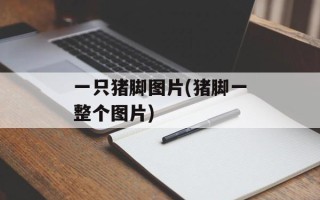 一只猪脚图片(猪脚一整个图片)