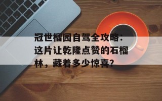 冠世榴园自驾全攻略：这片让乾隆点赞的石榴林，藏着多少惊喜？