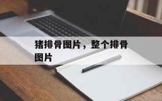 猪排骨图片，整个排骨图片