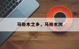 马褂木之乡，马褂木树