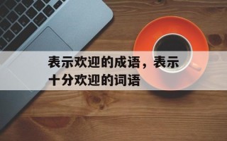 表示欢迎的成语，表示十分欢迎的词语