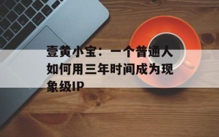 壹黄小宝：一个普通人如何用三年时间成为现象级IP
