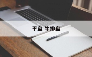 平盘 牛排盘