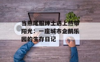 当燕尾服绅士遇上热带阳光：一座城市企鹅乐园的生存日记