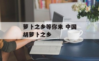 萝卜之乡等你来 中国胡萝卜之乡