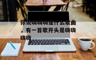 你说嗨嗨嗨是什么歌曲，有一首歌开头是嗨嗨嗨嗨