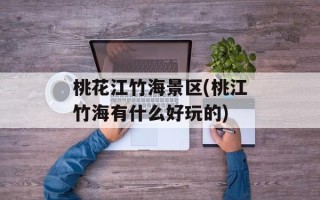 桃花江竹海景区(桃江竹海有什么好玩的)