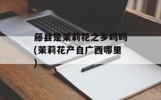 藤县是茉莉花之乡吗吗(茉莉花产自广西哪里)