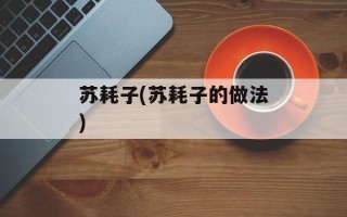 苏耗子(苏耗子的做法)
