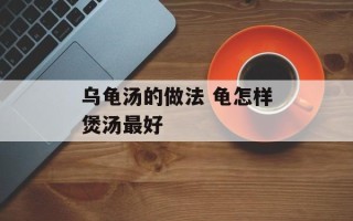 乌龟汤的做法 龟怎样煲汤最好