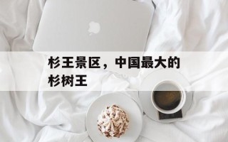 杉王景区，中国最大的杉树王