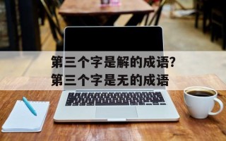 第三个字是解的成语？第三个字是无的成语