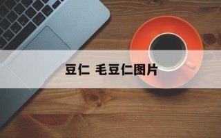 豆仁 毛豆仁图片