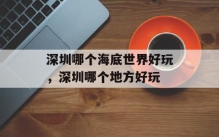 深圳哪个海底世界好玩，深圳哪个地方好玩