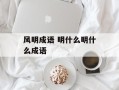 风明成语 明什么明什么成语