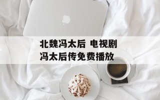 北魏冯太后 电视剧 冯太后传免费播放