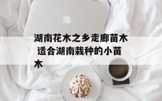 湖南花木之乡走廊苗木 适合湖南栽种的小苗木
