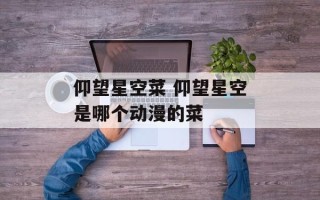 仰望星空菜 仰望星空是哪个动漫的菜