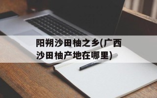 阳朔沙田柚之乡(广西沙田柚产地在哪里)