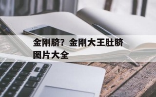 金刚脐？金刚大王肚脐图片大全