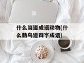 什么当道成语动物(什么肠鸟道四字成语)