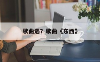 歌曲遇？歌曲《东西》