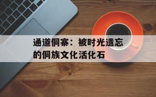 通道侗寨：被时光遗忘的侗族文化活化石